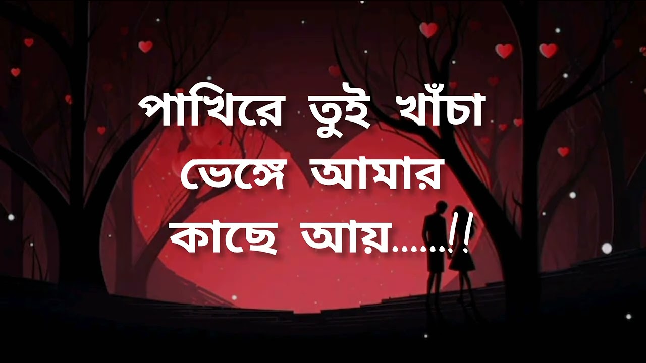 পাখিরে তুই খাঁচা ভেঙ্গে আমার কাছে আয়||Pakhi Re Tui Khacha Vhenge Amar Kashe Ay##youtubevedioupload