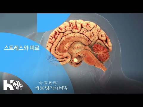 스트레스와 피로 - (20190320_687회 방송) 지긋지긋한 피로, 건강의 적신호