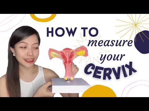 HOW TO MEASURE CERVIX HEIGHT