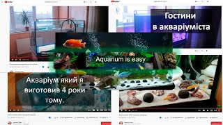 Гостини в акваріуміста (Акваріум який я виготовив 4 роки тому).