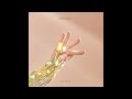 Offvocal 櫻坂46 Addiction リアルカラオケ Instrumental Offvocal 櫻坂46 Addiction リアルカラオケ Instrumental