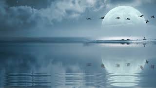 Minor Key Relaxing Piano Music for Sleep, Calm Chords, Moonlight Serene Night Music screenshot 4