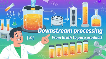 Downstream Processing in Bioprocess Engineering,Cell Disruption & Purification Explained | MooTechie