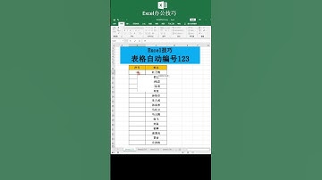 Excel办公教程 Excel表格自动编号#excel技巧 #电脑 #今天拍点啥 #快手创作者学院 #计算机