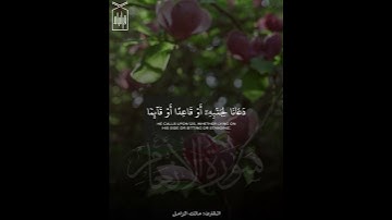 ﴿وَإِذا مَسَّ الإِنسانَ الضُّرُّ دَعانا﴾ من سورة يونس للقارئ مالك الزامل 🤍.