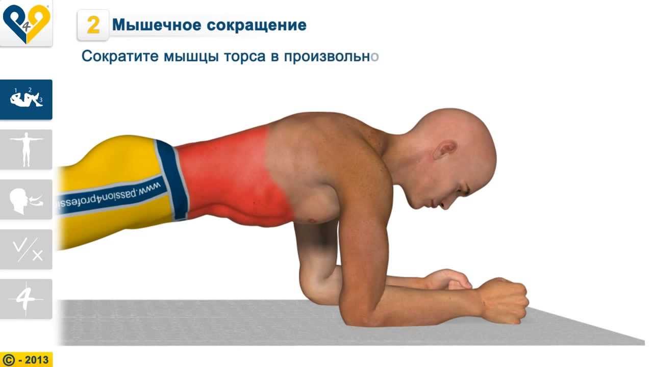 �������� + �������� ����������: ����.