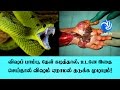 Useful Medical Tips for Poisonous Snake Bite and Scorpion Bite!