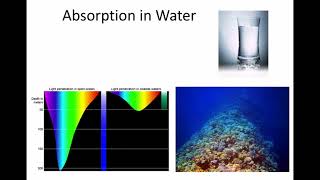 7 attenuation