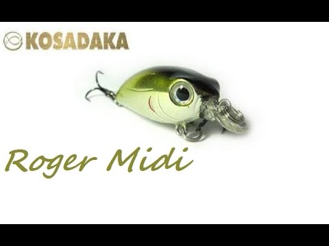 На что ловить голавля - (Kosadaka Roger Midi) На что ловить голавля - (Kosadaka Roger Midi)