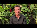 Jeff Probst Congratulations Survivor composer David Vanacore - 2020 ASCAP Screen Music Awards