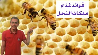 لن تصدق ما هي فوائد غذاء ملكات النحل