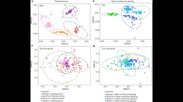 Permutational Multivariate Analysis of Variance Using Distance Matrices Using adonis function in R