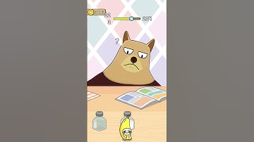 Cat Escape Level 223: Can You Find the Hidden Kitty? 🐾