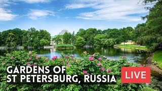 St Petersburg. LIVE: Tauride, Summer and Mikhailovsky Gardens, Field of Mars