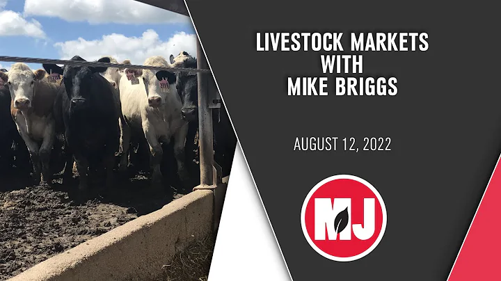 Livestock Markets | Mike Briggs | August 12, 2022