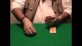 Magigram Vol.3 By Wild-Colombini Magic - Dvd