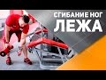 Сгибание ног лежа [Спортивный Бро]