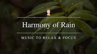 Harmony Of Rain | Music To Relax & Focus