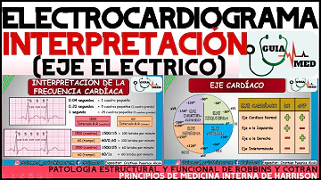 Como ler um ECG normal?