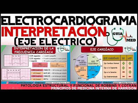 Video: ¿Cuál es el propósito de estandarizar el electrocardiógrafo?