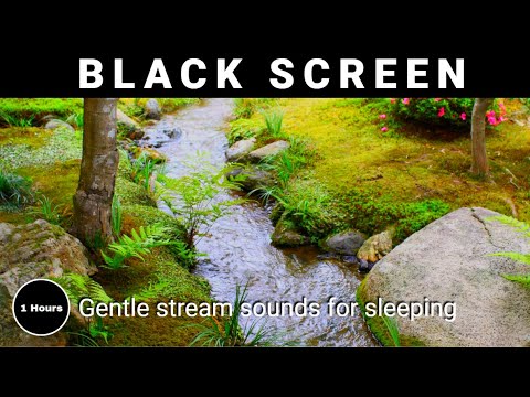 Gentle stream sounds for sleeping - Black Screen