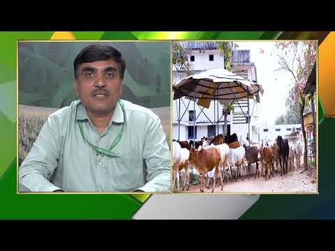 Dr. Rahul Rohankar | Animal care during changing weather is essential! | DD Kisan