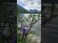 #Алтай #местосилы