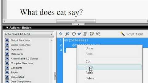 Macromedia Flash 8 Quiz Game Tutorial