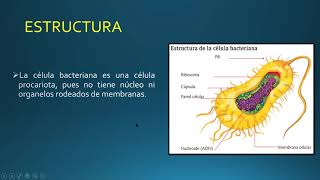 8vo 'B' - CIENCIAS NATURALES - EVOLUCIÓN DE LAS BACTERIAS