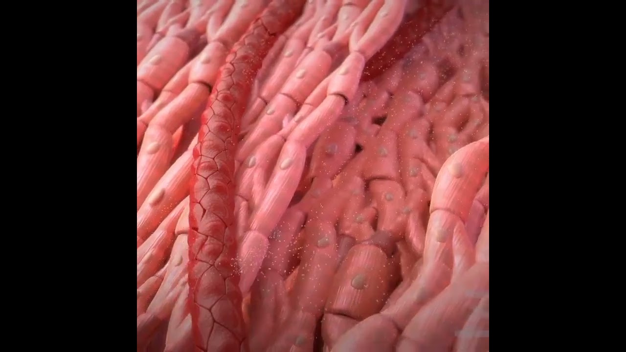 heart pumping system or accumulation of some ....