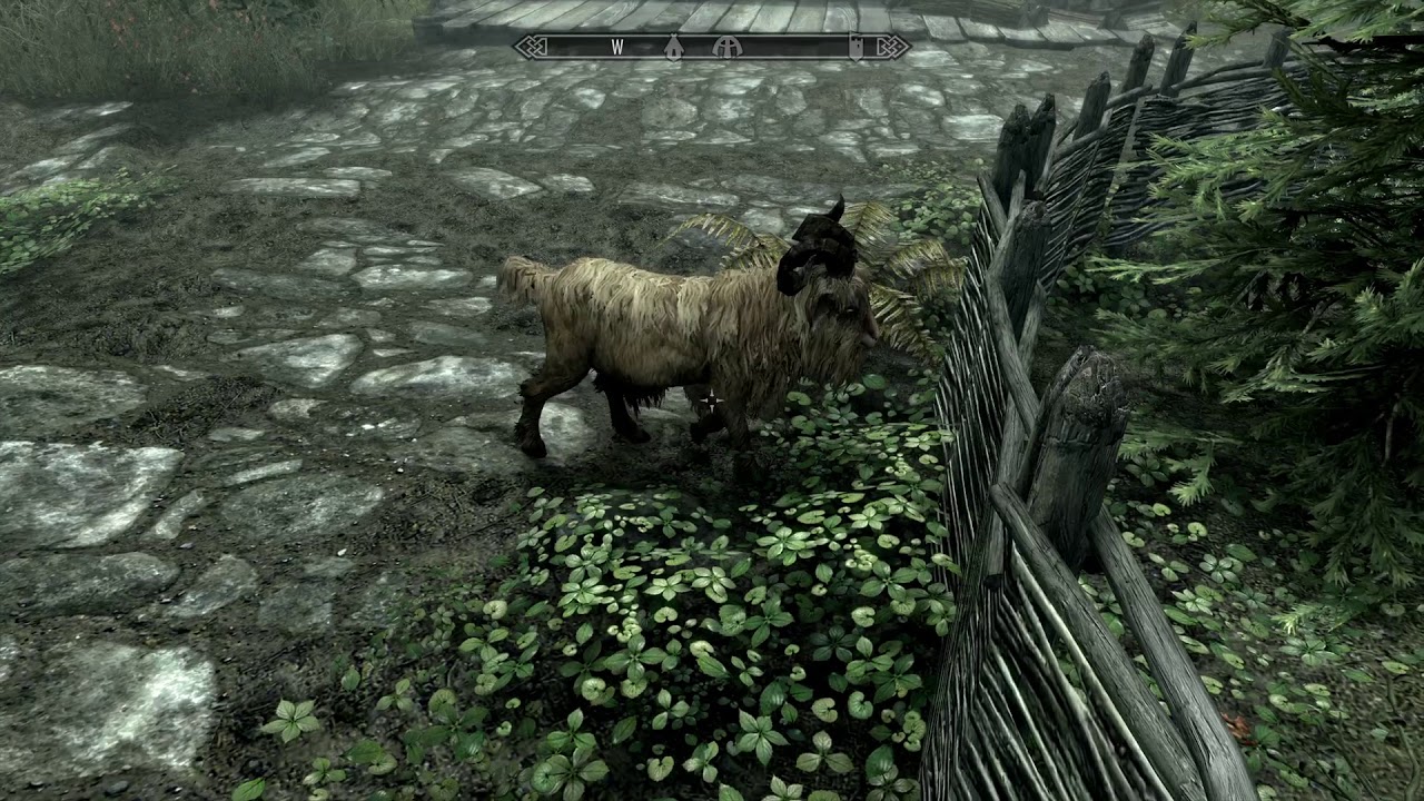 Skyrim Goat Issues YouTube