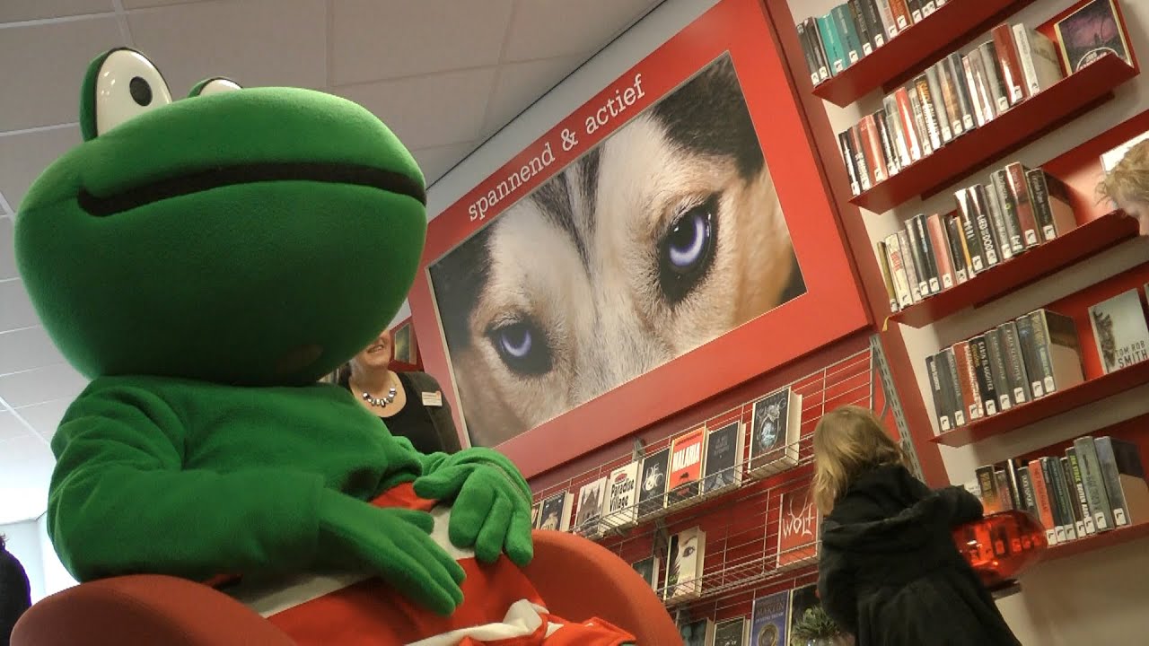 Groene kikker in Neede.