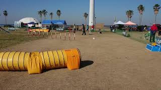 Sou Agility2 24Inch Class Opdes A-1 In Sodegaura 202028