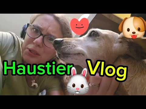 Pet Vlog 🐶🐰🐟 I'll let you hear from me 🐾 Life with dogs, rabbits, fish and co.