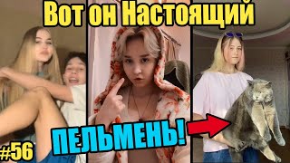 Вот он НАСТОЯЩИЙ ПЕЛЬМЕНЬ, Внутри много мяса, мало теста! Подборка видео и приколов с ТикТока #56