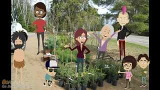 Arbor Day 2014