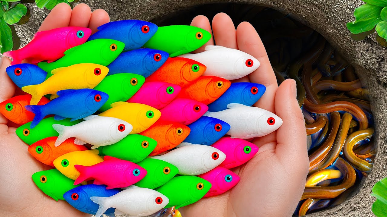 Поймайте необычную тропическую рыбу в гигантских разноцветных яйцах: раков, рыбу-собаку, черепаху...