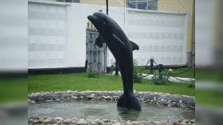 Гио Пика - Черный Дельфин