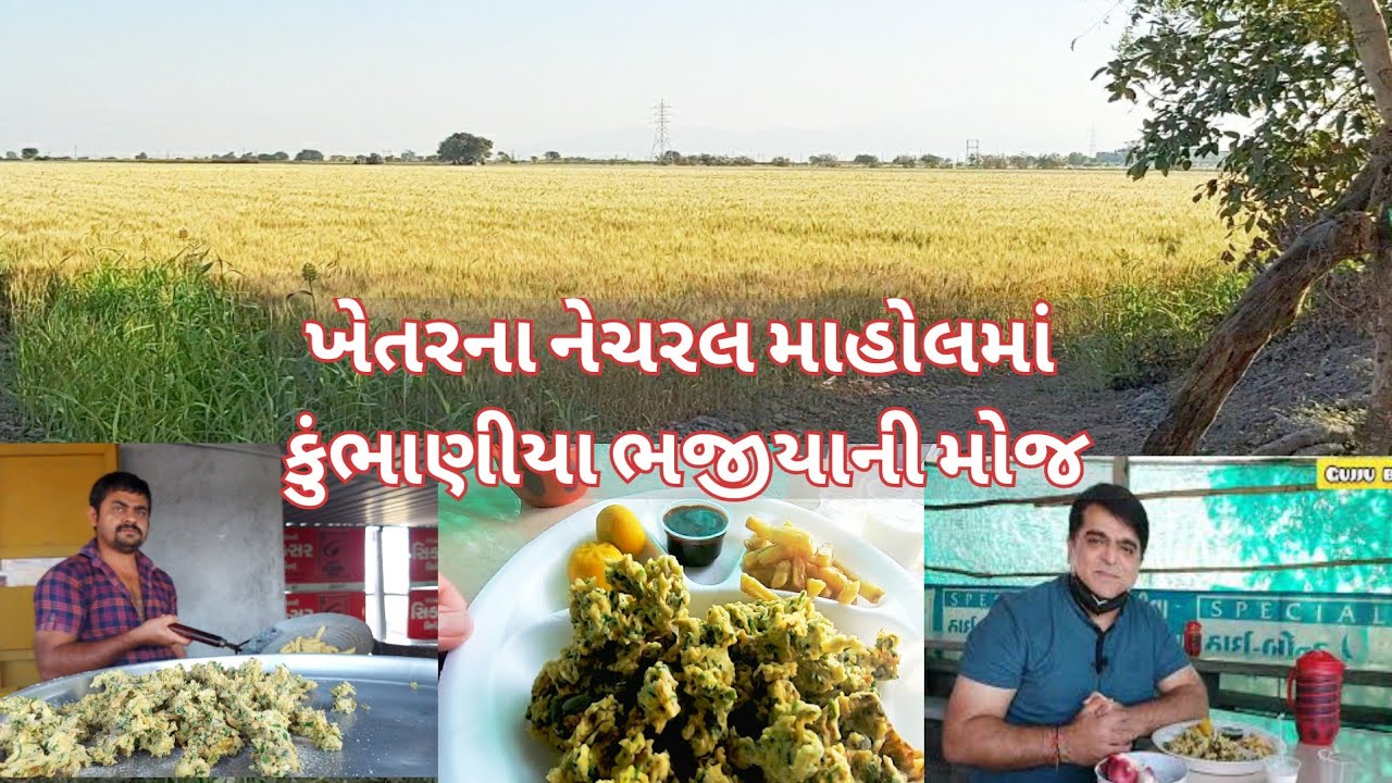 ખેતરમાં કૂંભાણીયા ભજીયાનો આનંદ | Junagadh Rajkot highway |  Kumbhaniya Bhajiya recipe | Farm food