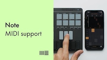 Ableton Note: MIDI support