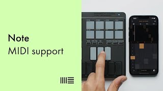 Ableton Note: MIDI support