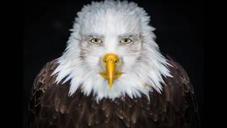 Warframe - Letting my Inaros get shot at for 15 minutes while i got to the store