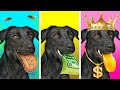 Mi perro mgico concede deseos  perro rico vs pobre vs ultrarrico por desafo aceptado