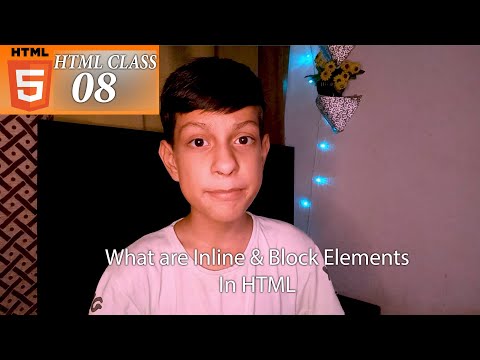 What are Inline & Block Elements In HTML | How to use Inline & Block Elements | DesignerNDcode