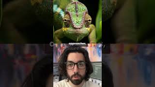 Google’s Imagen 4 is here, but is it worth your time? 🎨✨