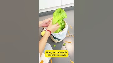 Nhà sạch gọn hơn nhờ chiếc thùng rác này – Ai cũng nên có 1 cái