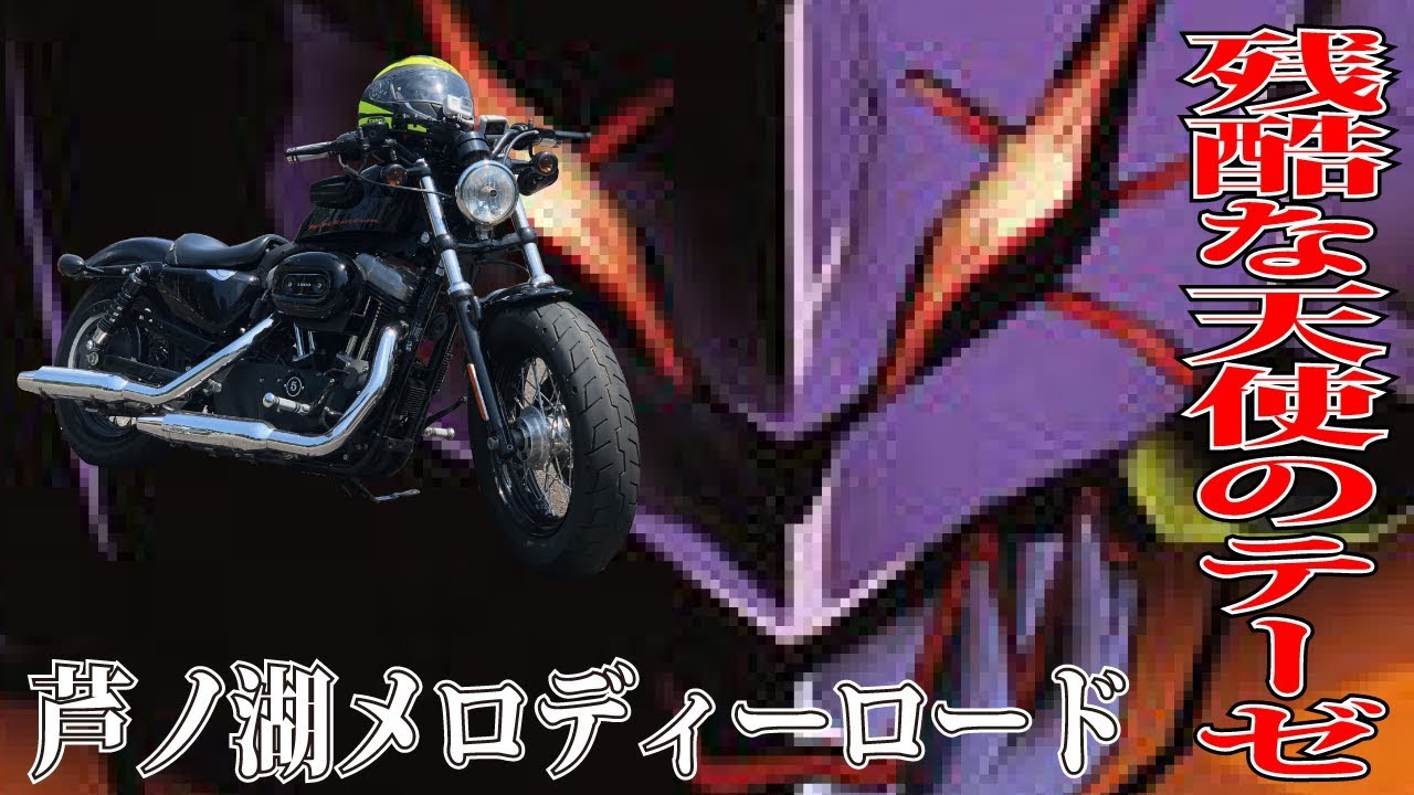 【ハーレー XL1200X】エヴァ 残酷な天使のテーゼが流れる芦ノ湖スカイラインメロディーロード【モトブログ#3】