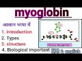 Myoglobin।।Structure,Function and Clinical Importance Bsc & Msc हिंदी english notes details explain.