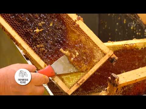 Video: Včelí Med: Prospešné Vlastnosti