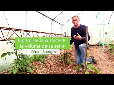 Vidéo: Température optimale pour les concombres dans une serre